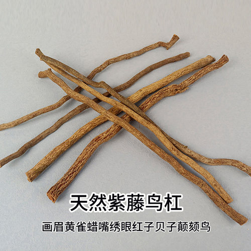 天然紫藤鸟杠红子黄雀玉鸟靛颏画眉鹩哥贝子鸟鸟笼配件藤条挑杠