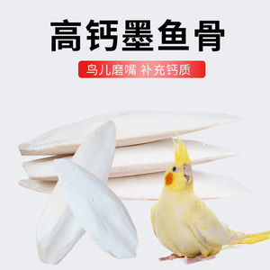 鸟用品用具鹦鹉磨嘴玩具墨鱼骨虎皮牡丹鹦鹉磨牙补钙繁殖海螵蛸龟