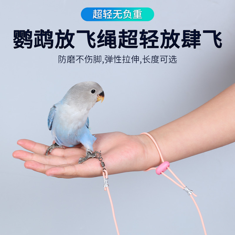 鹦鹉放飞绳户外遛鸟牵引弹力绳超轻不伤脚训练绳牡丹玄凤脚环