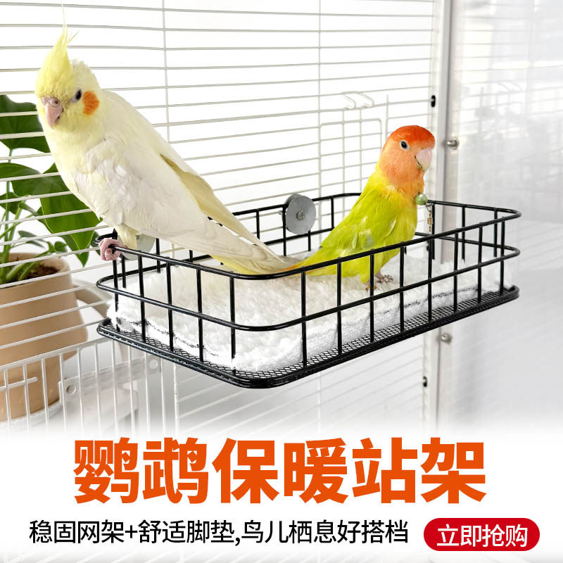 鹦鹉睡床二层通用平台虎皮牡丹玄凤睡窝鸟窝休息站台鸟笼造景装饰,宠物/宠物食品及用品,鸟禽其他,淘宝优惠券,粉丝福利购,淘宝优惠卷