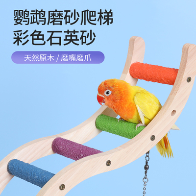 虎皮牡丹鹦鹉玩具云梯木梯