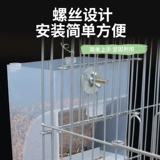 Плоховая прозрачная подача птиц-попугай