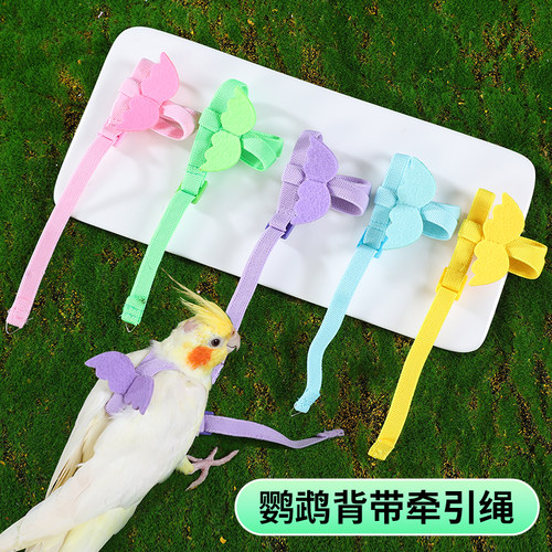 鹦鹉牵引绳鸟用放飞绳小号超轻遛鸟神器飞行绳外出外带背带神器