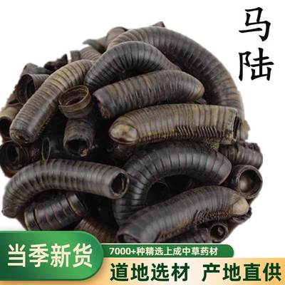 马陆虫250克金环马陆 中药材