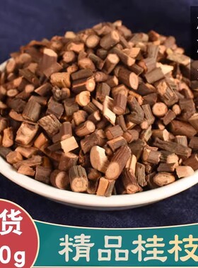 桂枝尖中药材当季正宗广西桂枝尖正品非野生特级桂枝新货桂枝嫩条