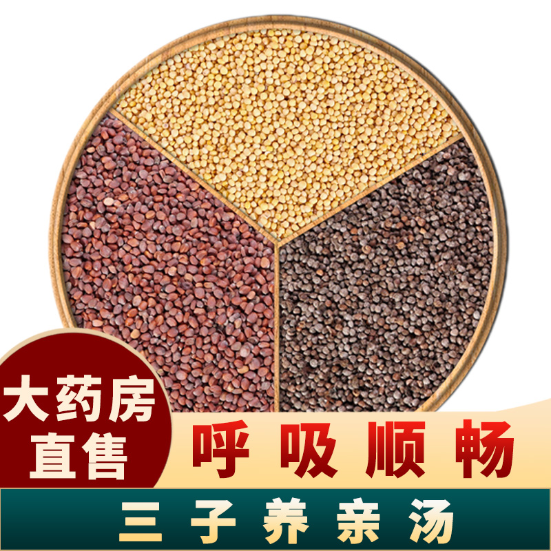 三子养亲汤同仁堂紫苏子籽莱菔子白芥子中药材泡茶非炒三籽养亲丸