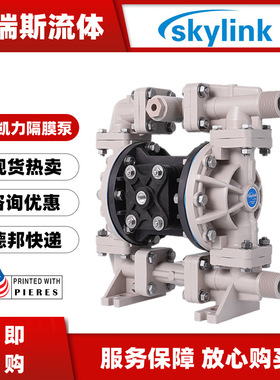 斯凯力skylink气动隔膜泵PS15PP-AT-SP-PP-SP-00氢氧化钠溶液泵