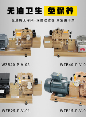WZB30/50/80/120-P-VB/VBVB无油真空泵 印刷机风泵 打气泵2.2KW