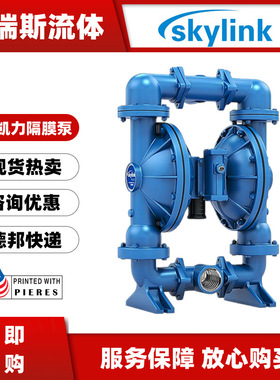 斯凯力气动隔膜泵SK50/3XAA/ETTT/0B0不锈钢耐腐蚀容积泵2寸DN50