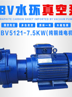 水环式真空泵水泵电机工业机高真空2BV5110/5111/2060/2070不锈钢
