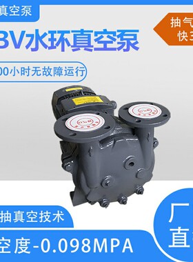 非耀除烟除臭防爆2BV6131水环真空泵高真空低噪音真空泵
