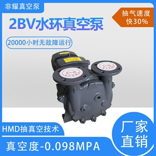 非耀除烟除臭防爆2BV6131水环真空泵高真空低噪音真空泵