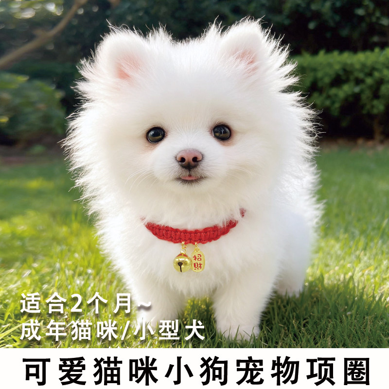 可爱猫狗项圈可调节挂饰