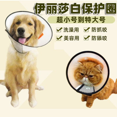 伊丽莎猫咪耻辱圈绝育防水项圈