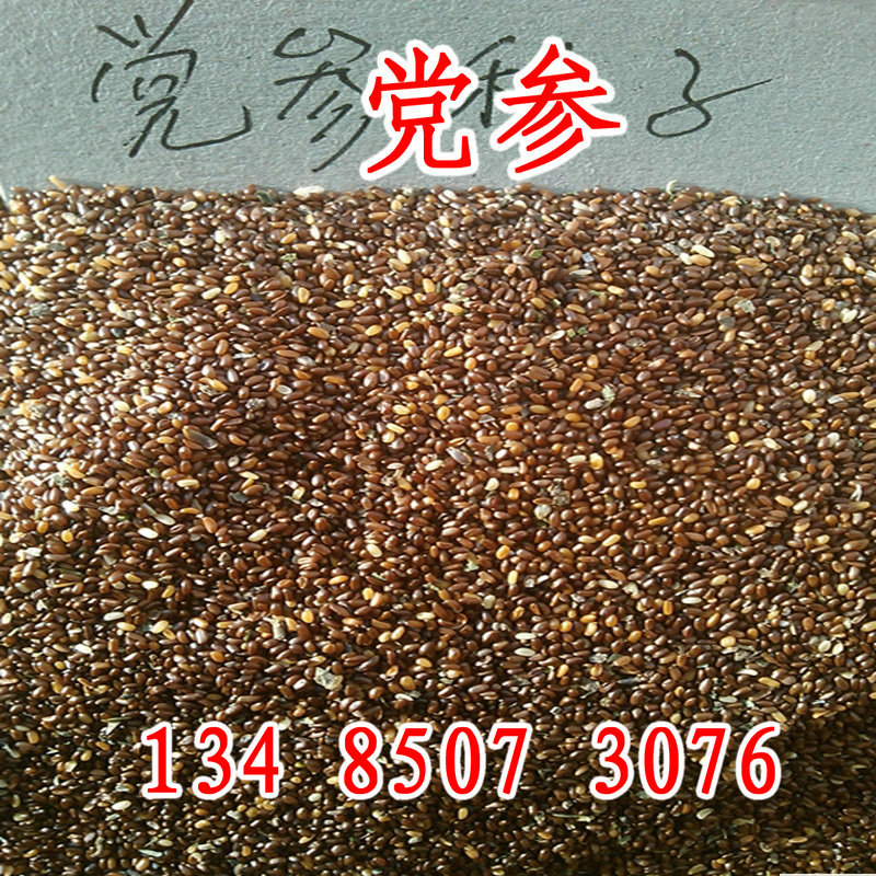 中药材种子黄芪中草药种籽党参图片