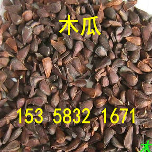 果树木瓜树种子光皮水果木瓜树种皱皮番木瓜红心黄心嫁接木瓜种子