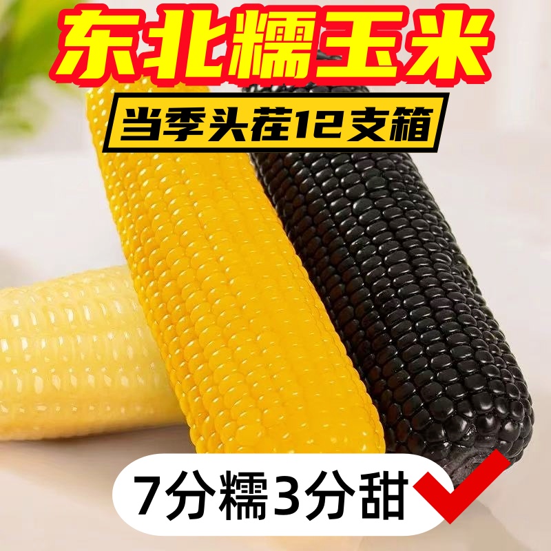 （试吃2支）真空糯玉米非转0农残