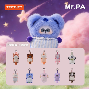TOYCITY新品耙老师MR.PA温暖的抱抱系列熊猫盲盒潮玩玩具公仔礼物