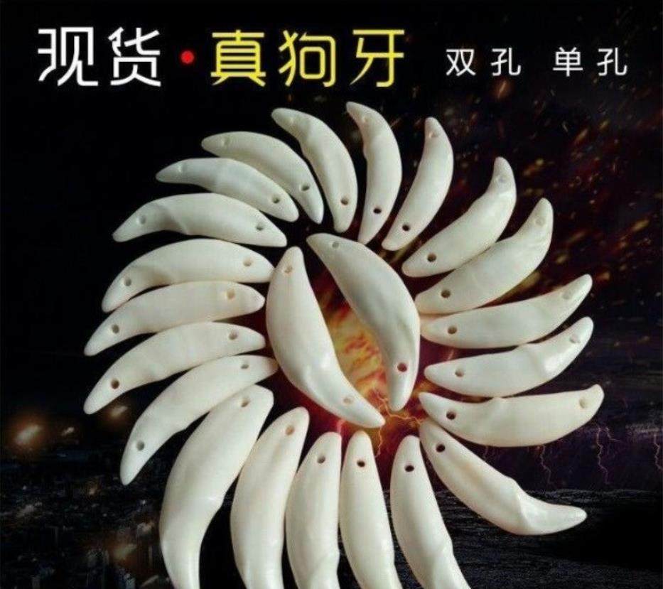 狗牙 真 编儿童手链饰配件 手工diy男女宝宝吊坠配饰 单双孔狗牙