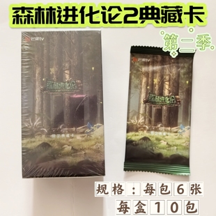 现货森林进化论2典藏卡第二季文韬黄子弘凡官方正版盲盒收藏小卡