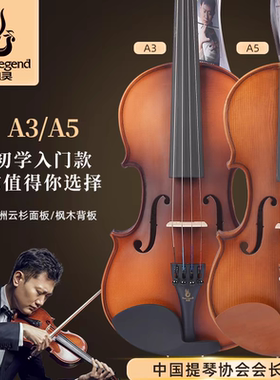 凤灵小提琴儿童初学实木成人