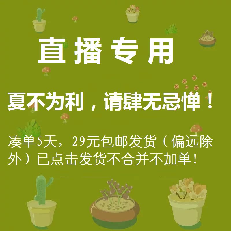 ÃÀ±©Ô°ÒÕÖ±²¥¼ä¶àÈâÖ²ÎïÂÌÖ²ÅèÔÔ»¨»ÜÂú29Ôª°üÓÊ·¢»õ6