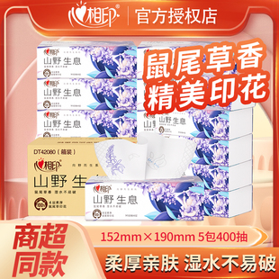 心相印纸巾向野而生抽纸鼠尾草香氛卫生纸实惠餐巾纸整箱装 纸巾