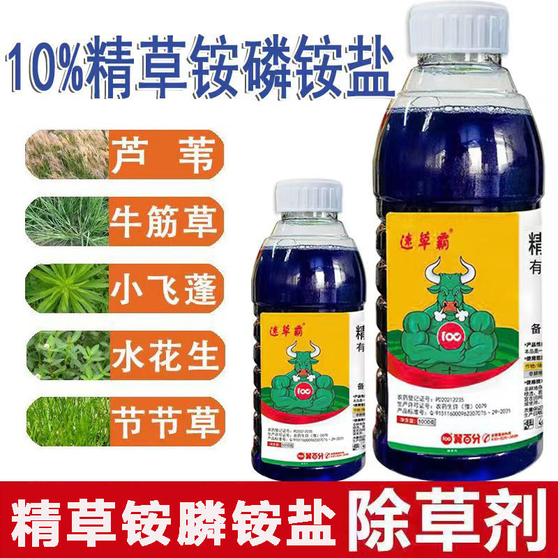 精草铵膦铵盐除草剂果园荒地田埂恶性杂草牛筋草小飞蓬芦苇除草剂