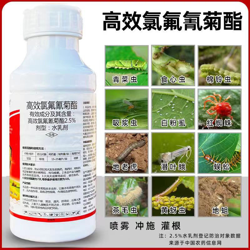 2.5%高效氯氟氰菊酯蔬菜甘蓝菜青虫蚜虫肉虫杀虫剂氯氟氰菊酯除虫