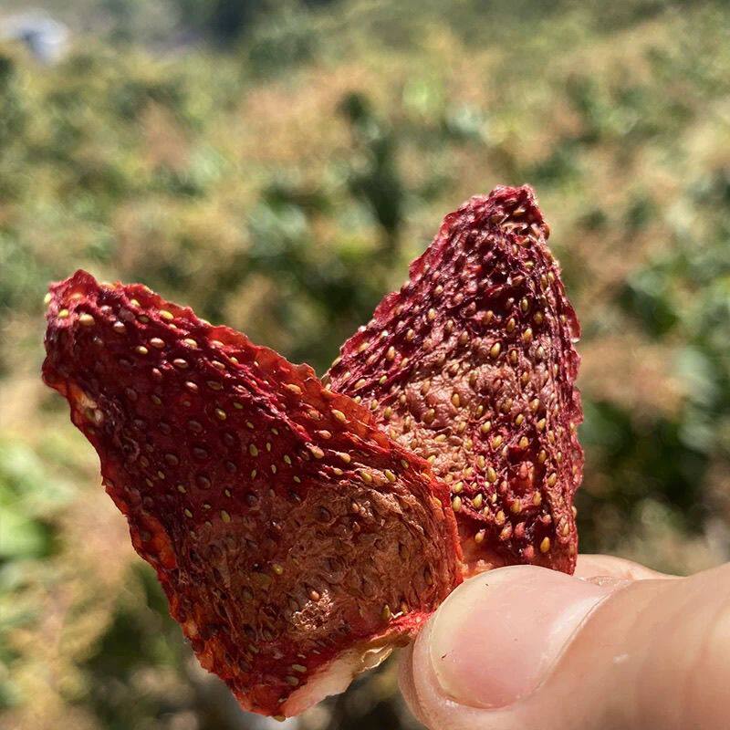 攀枝花原味草莓干无蔗糖添加手工新鲜烘干孕妇水果干即食零食