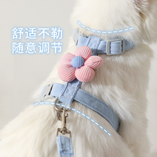 花朵猫咪牵引绳宠物工字型胸背套装 夏季 小型犬狗狗防挣脱牵引绳