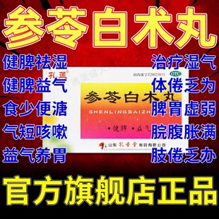 参苓白术丸健脾祛湿益气张仲景孔孟官方旗舰店浓缩健脾胃虚弱XJ