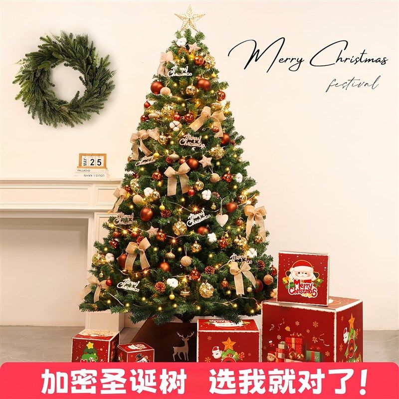 Christmas tree圣诞树客厅耶诞树装饰品高级感2025新款2米加密摆