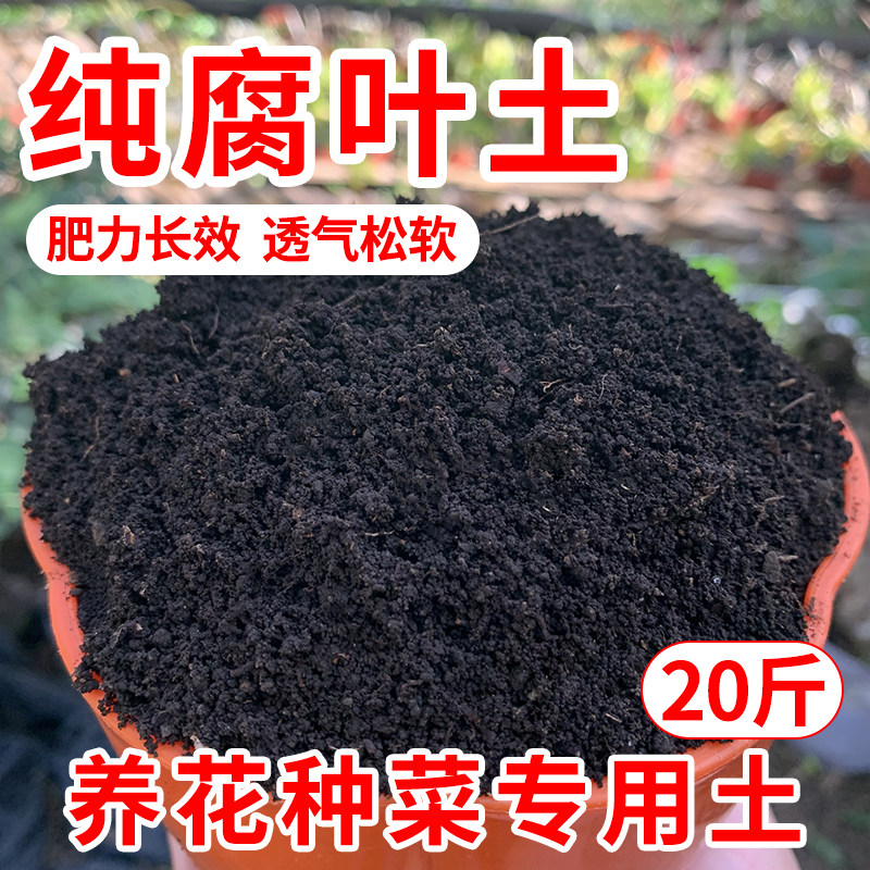 腐叶土腐熟20斤养花种菜通用型营养土多肉山乌龟绣球花专用土透气,鲜花速递/花卉仿真/绿植园艺,介质/营养土,淘宝优惠券,粉丝福利购,淘宝优惠卷