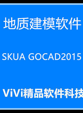 地质建模Paradigm SKUA GOCAD 2009/2015.5/2017/2022送视频资料