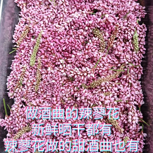 新鲜辣蓼红花蓼花晒干辣蓼花辣蓼草做酒曲辣蓼花甜酒曲原料水红花