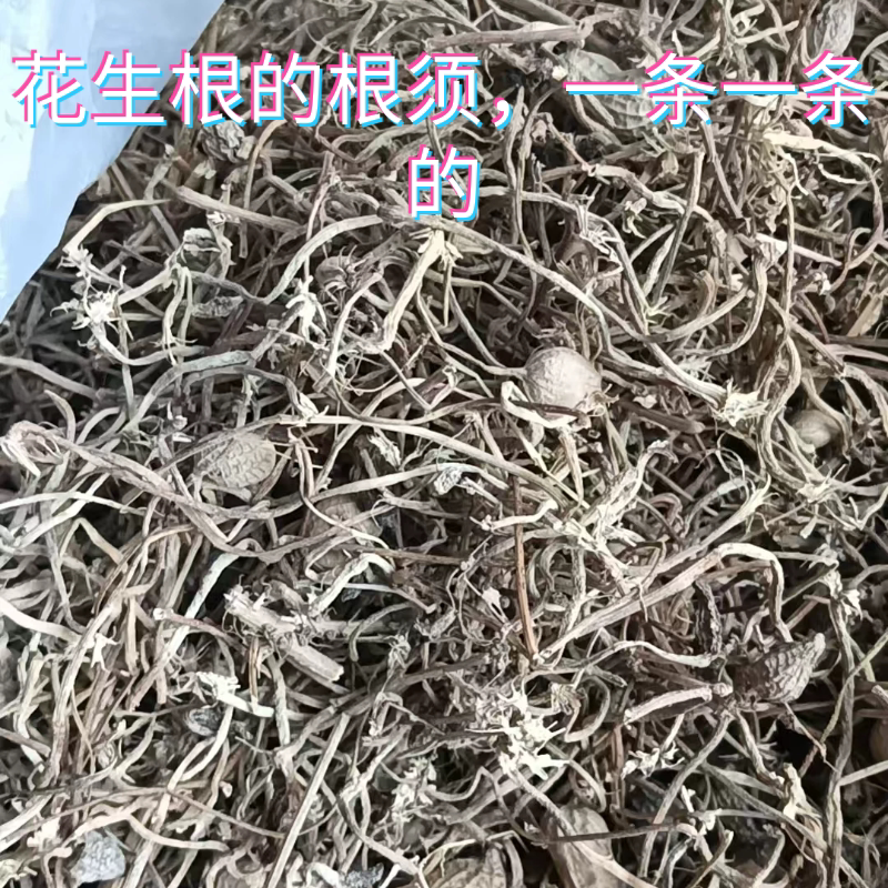 福建草头花生根须晒干花生根的根须干净无杂质炖汤煲汤草药