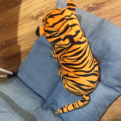 狗狗衣服秋冬装保暖四脚变身装泰迪柯基中小型犬猫咪衣服宠物服饰