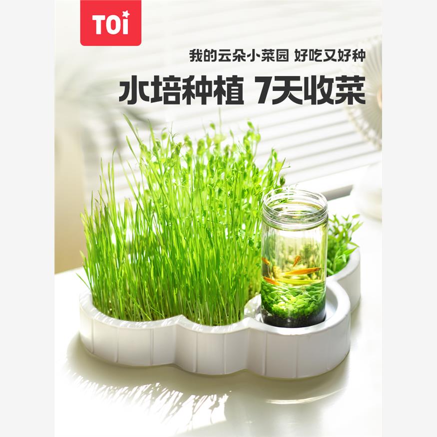 TOI图益云朵小菜园儿童种