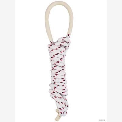 太仓中考专用跳绳儿童小