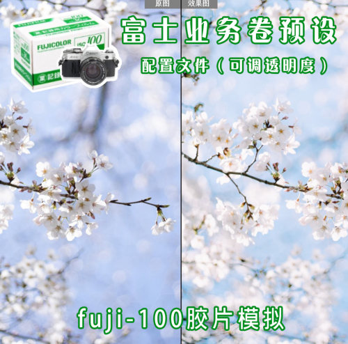 富士100业务卷胶片模拟预设富士预设PS/LR预设彩色胶卷fujicolor