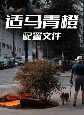 适马FP内置的青橙色调LR预设配置文件滤镜 支持PS/ACR通用款