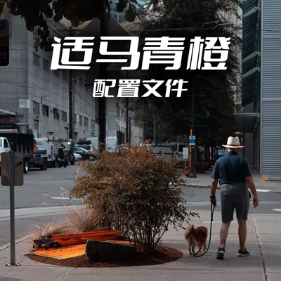 适马FP内置的青橙色调LR预设配置文件滤镜 支持PS/ACR通用款