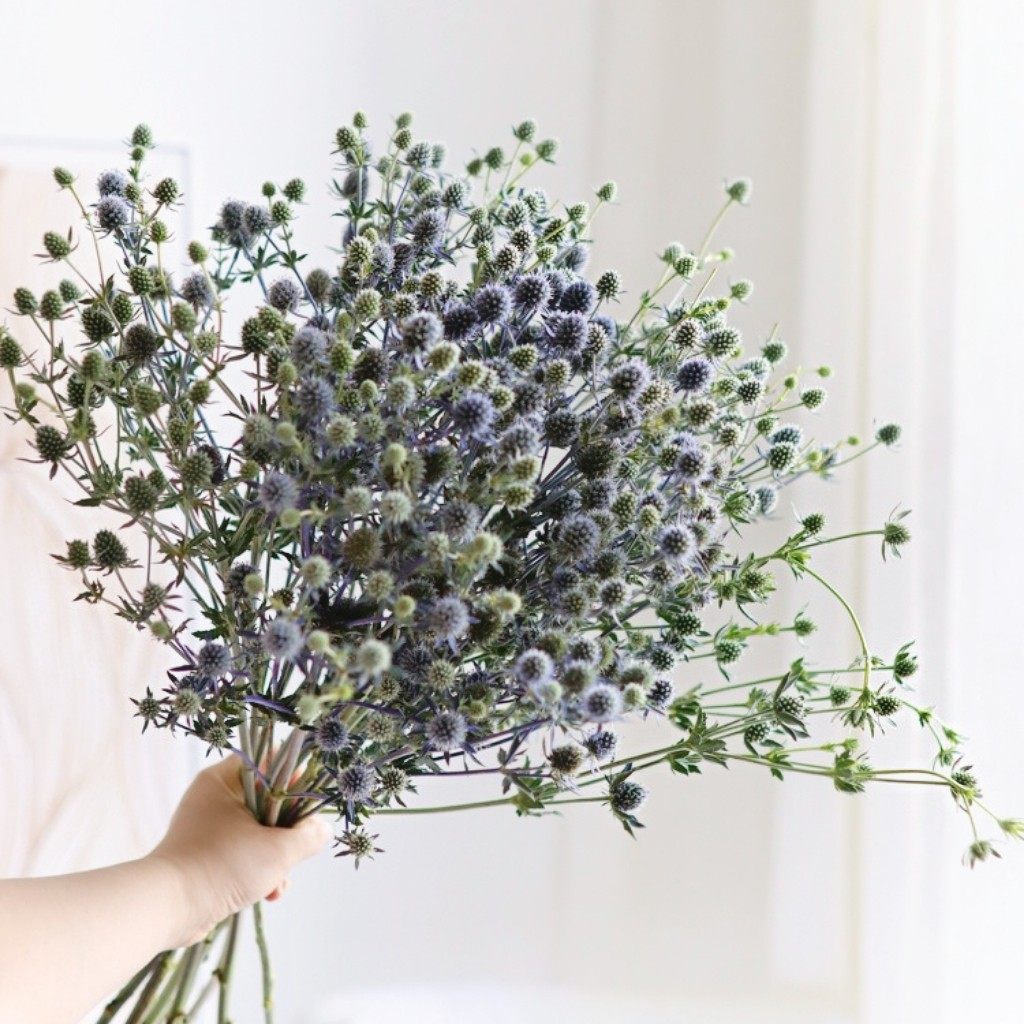 精选情人果鲜切花客厅摆设鲜花花束配花叶材草花植物花卉花艺配搭