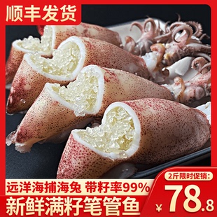 海兔子满籽墨鱼仔新鲜海兔鲜活带籽笔管鱼大乌贼籽乌鱿鱼海鲜顺丰