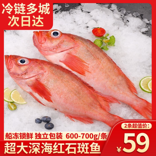 海味轩鲜红大眼水产长寿