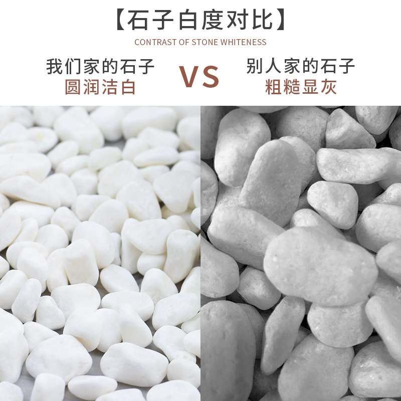 高档100头白色石斤小石子阳台鹅卵暖软石庭院铺路装地