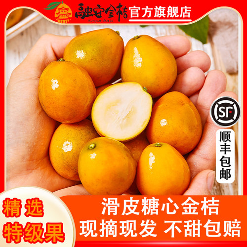 融安金桔新鲜水果滑皮5斤包邮