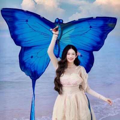 春天春日蝴蝶风筝infp氛围网红成人少儿长尾野餐春游春户外道具