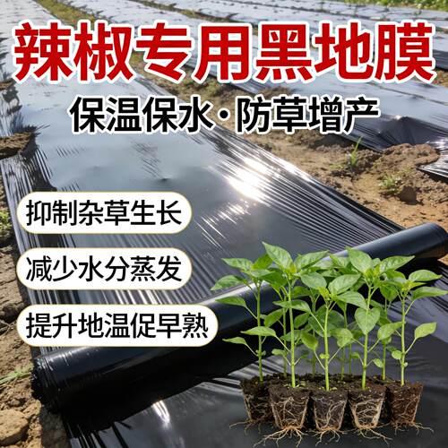 辣椒专用黑色地膜加厚小菜园盖菜防长草农用种植辣椒薄膜定制